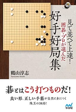 見て並べて上達! 囲碁・プロが選んだ好手好局集 (囲碁人ブックス)