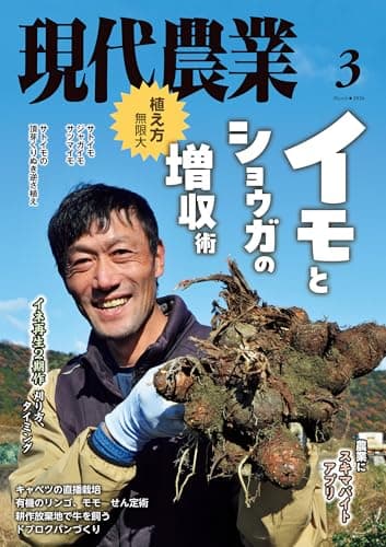 現代農業2026年3月号 [雑誌]