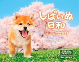 カレンダー2026 しばいぬ日和（月めくり/壁掛け/600mm×380mm） (インプレスカレンダー2026)