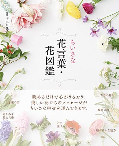【花コンシェルジュ検定 公式参考書】ちいさな花言葉・花図鑑