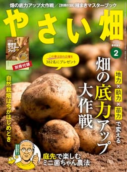 やさい畑　春準備号　2026年　2月号