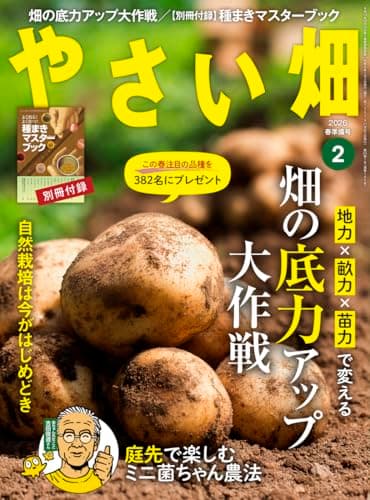 やさい畑　春準備号　2026年　2月号