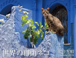 2026　世界の自由ネコ (カレンダー)