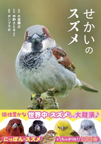 せかいのスズメ