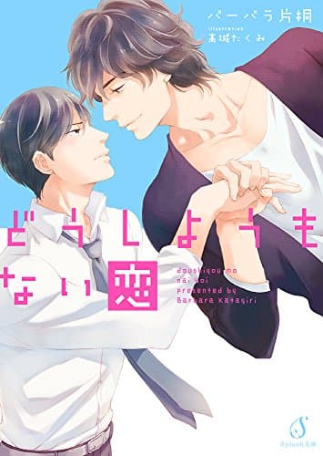 どうしようもない恋 (Splush文庫)