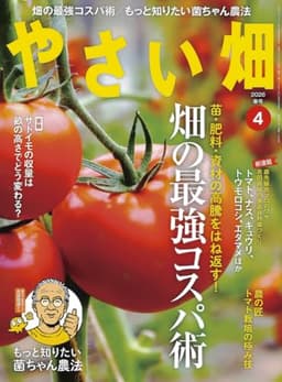やさい畑　春号　2026年　4月号