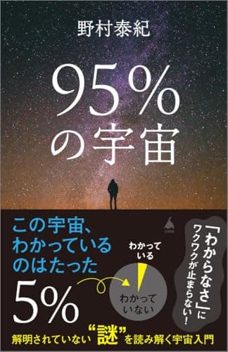 95％の宇宙 解明されていない“謎”を読み解く宇宙入門 (SB新書 695)