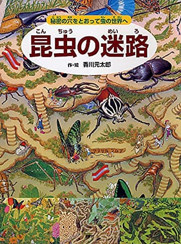 昆虫の迷路 秘密の穴をとおって虫の世界へ (めいろ×さがしえ×むし)【4歳 5歳からの絵本】 ((めいろ×さがしえ) (迷路絵本))