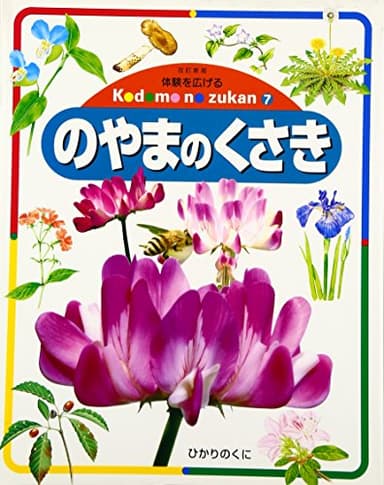 のやまのくさき 改訂新版 (体験を広げるこどものずかん 7)
