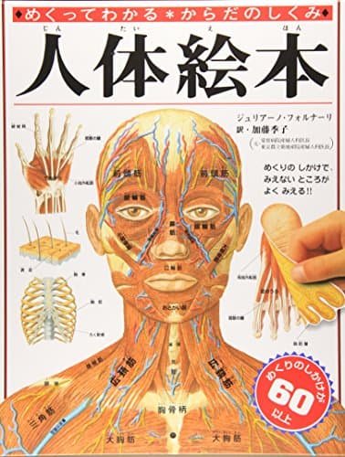 人体絵本: めくってわかる・からだのしくみ
