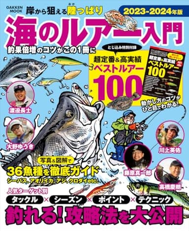 海のルアー入門 2023-2024年版: 岸から狙える陸っぱり (Gakken Mook)