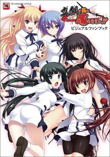 真剣で私に恋しなさい! ビジュアルファンブック (TECHGIAN STYLE)