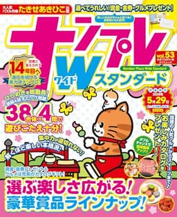 ナンプレワイドスタンダード vol.53 (タツミムック)
