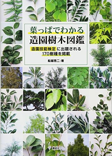 葉っぱでわかる造園樹木図鑑 造園技能検定に出題される170樹種を掲載
