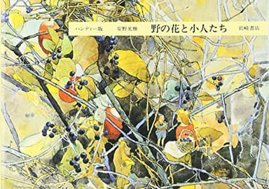 ハンディー版 野の花と小人たち (安野光雅の本 5)